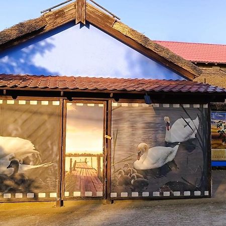 Pensiunea Miasor Hotel Murighiol Kültér fotó